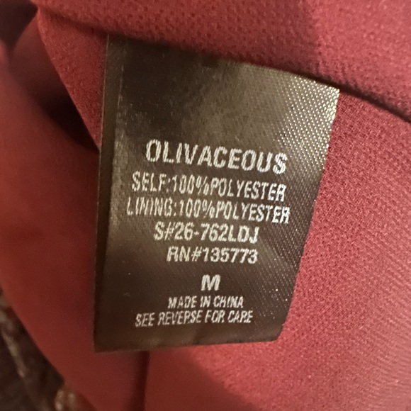 Olivaceous Ruffled Dress - Perfect for Fall - Picture 5 of 6